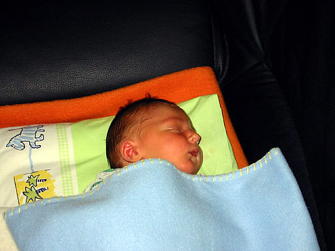 Mein  Bruder Maurice