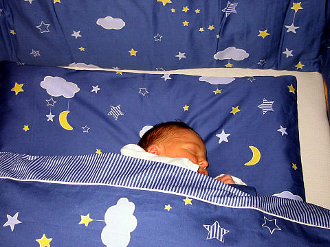 Maurice im Kinderzimmer