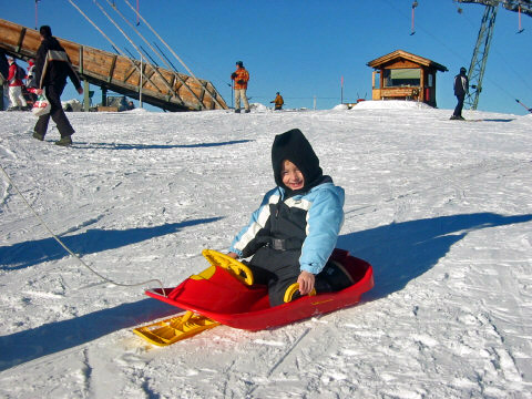 Maurice f&auml;hrt Bob