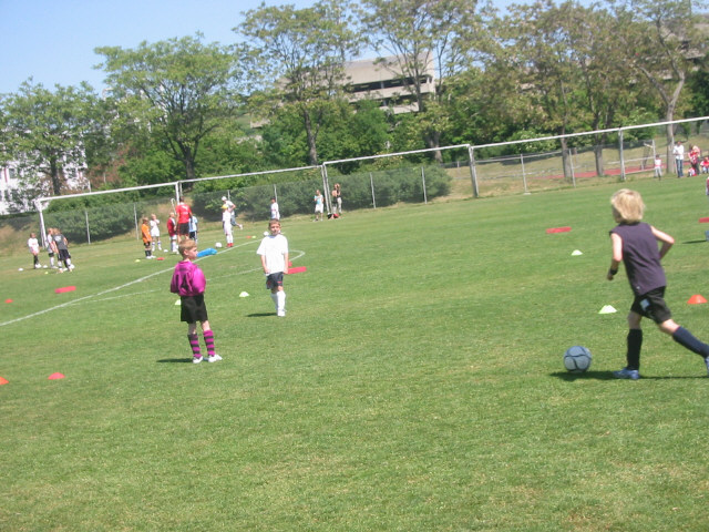 Die drei die weiter kamen