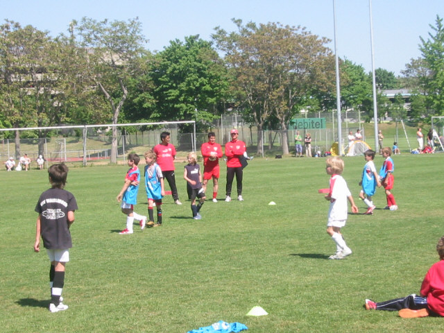 Die Scouts im Hitergrund