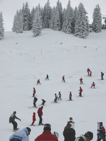 Alles unter kontrolle